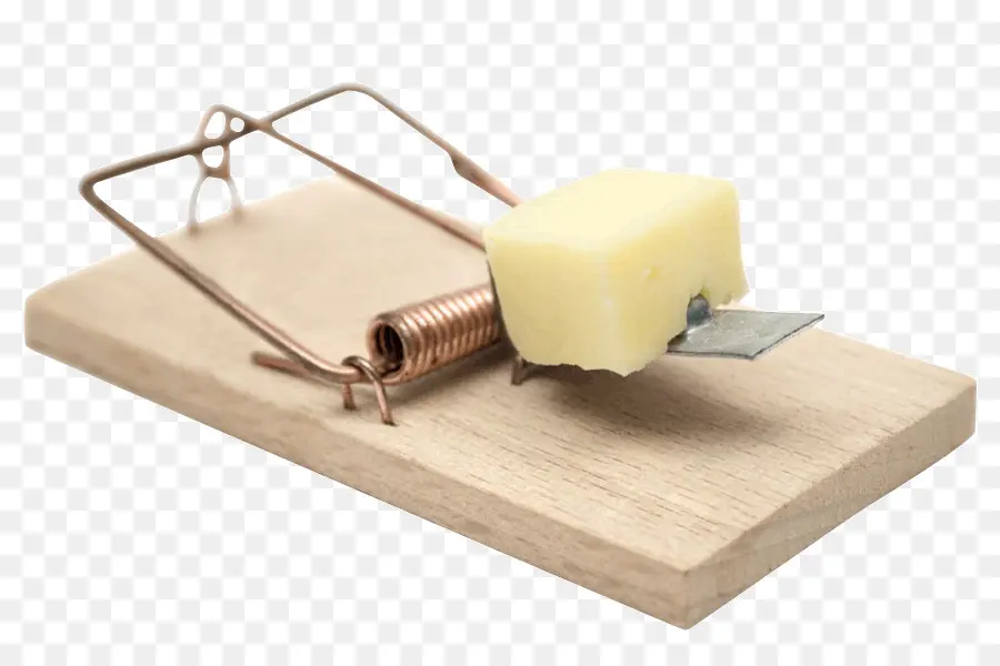 Ratonera，Queso PNG