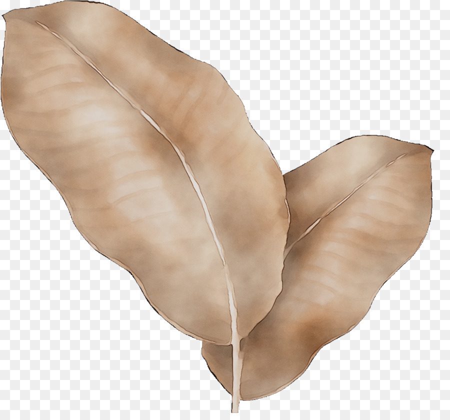 Cuello， PNG