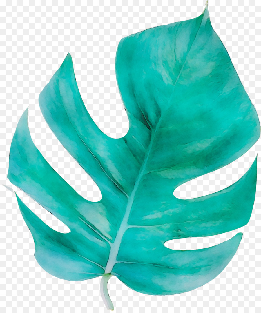 Hoja Azul，Planta PNG