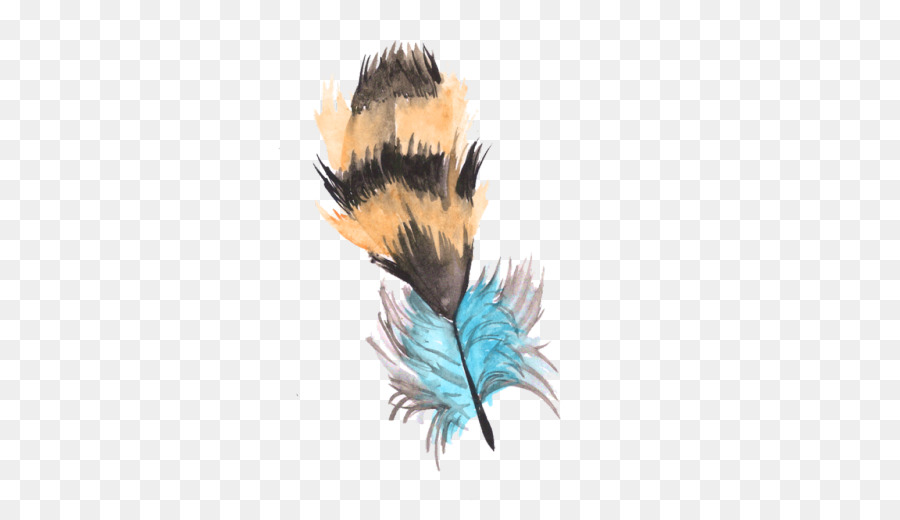 Pluma，Ala PNG