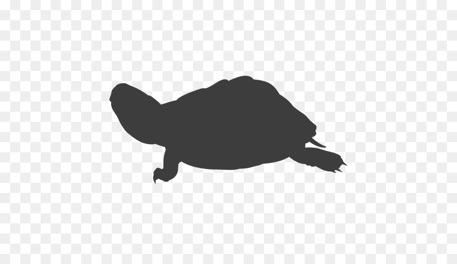 Tortuga，Silueta PNG