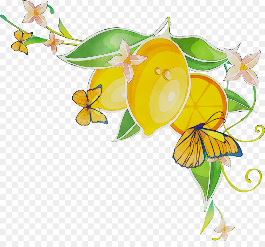 Diseño Floral，Flores PNG