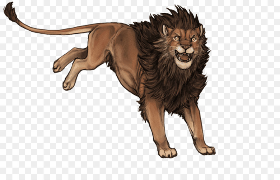 León，Lionhead Conejo PNG