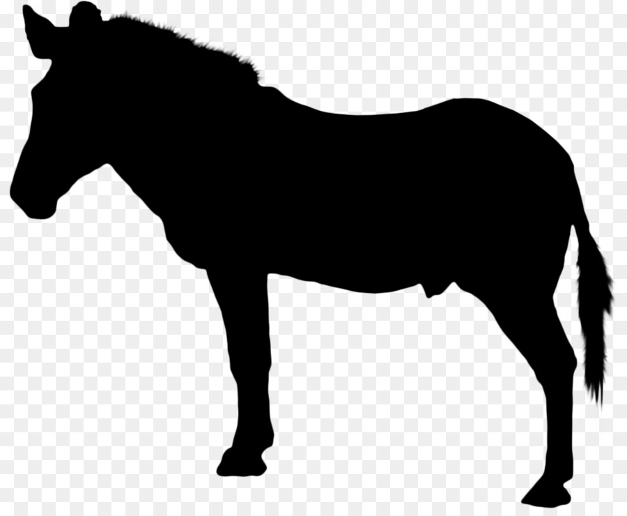 Caballo，Equino PNG