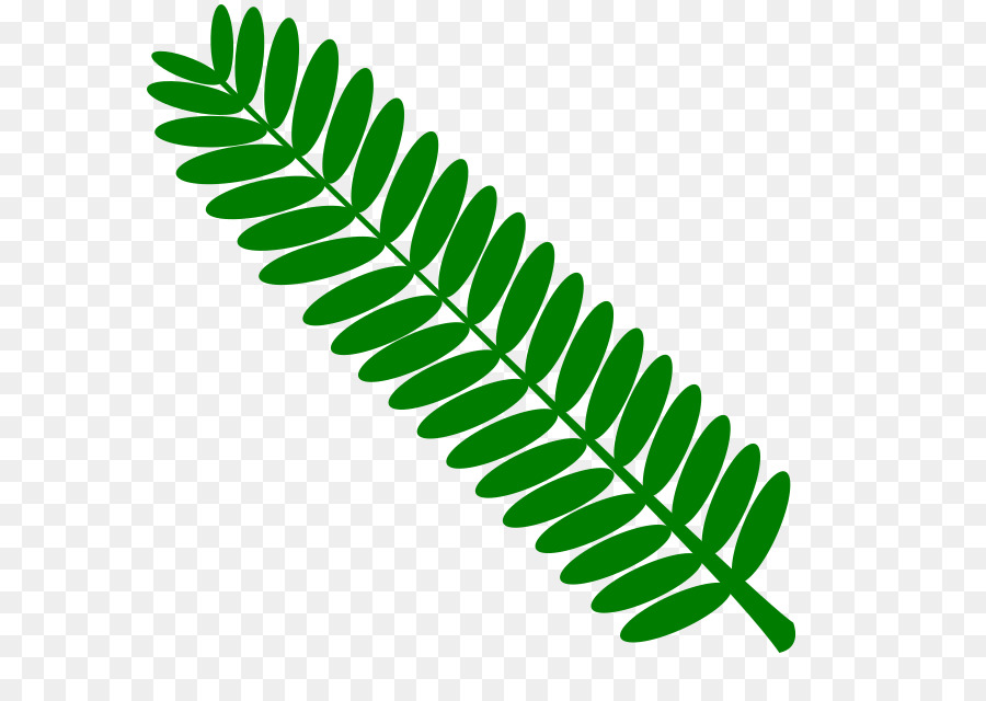 Shameplant，Hoja PNG