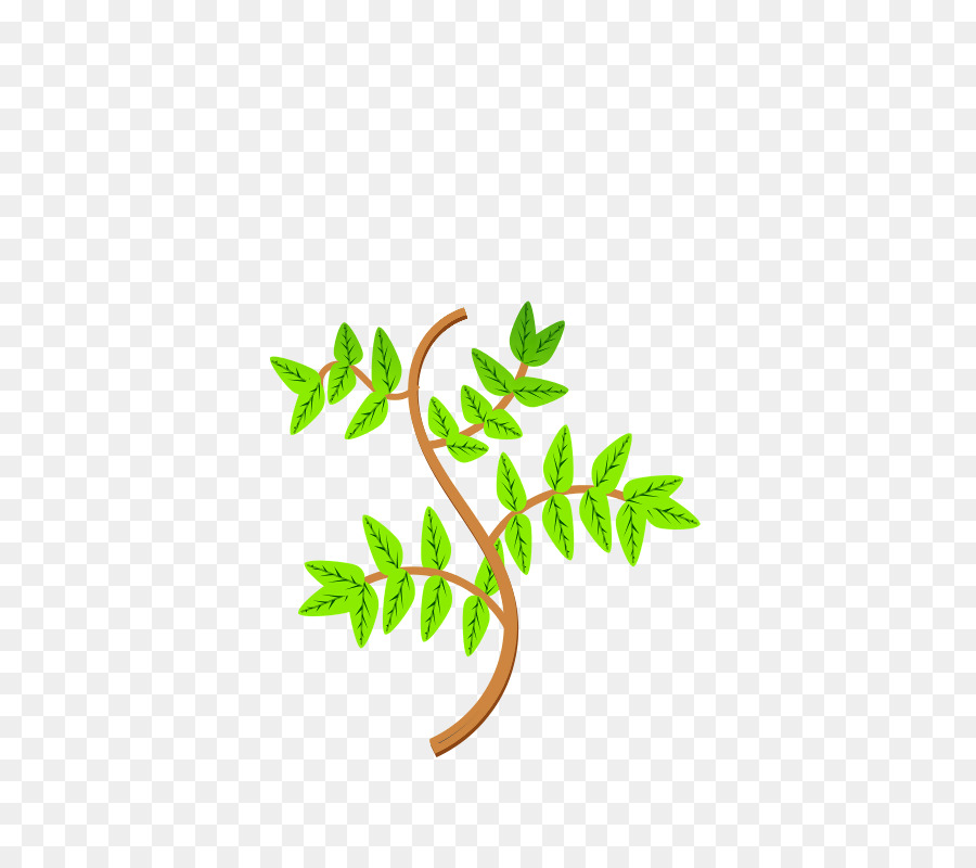 Planta，Hojas PNG