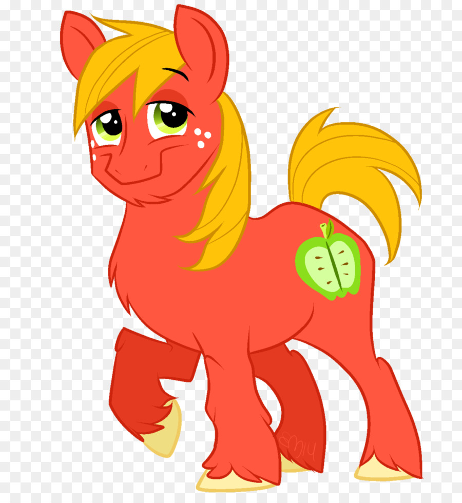 Gato，Caballo PNG