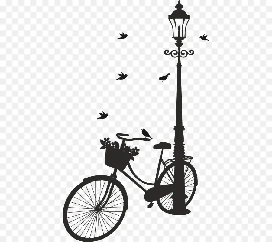 Bicicleta Y Farola，Aves PNG