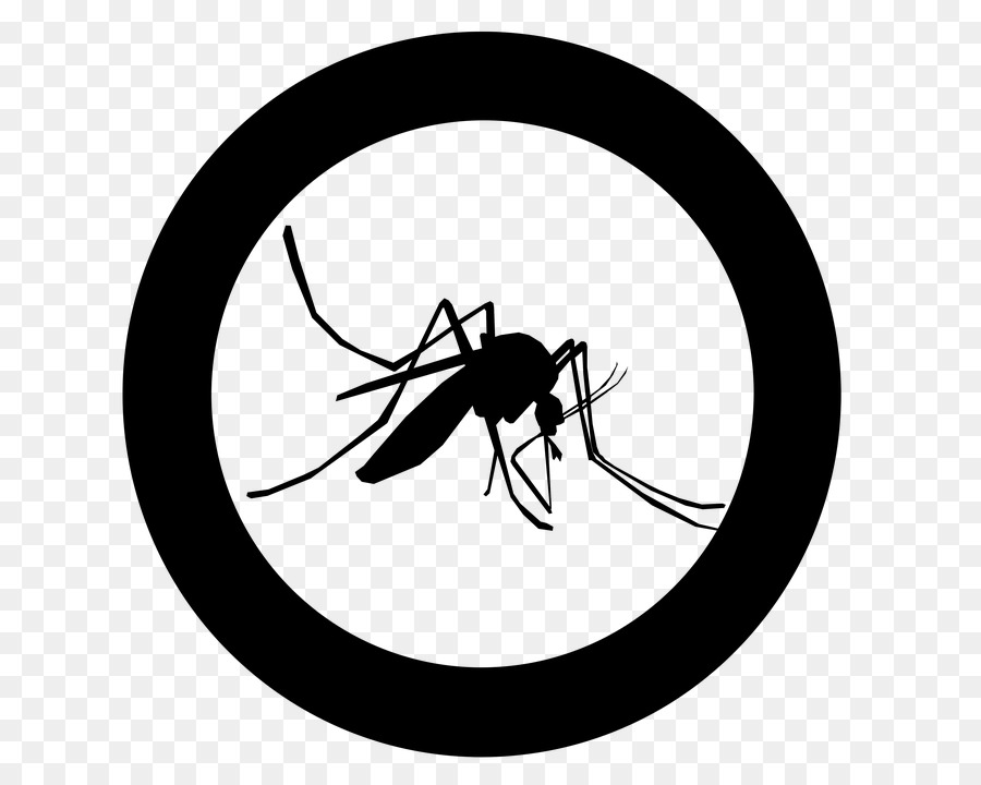 Mosquito，El Control De Los Mosquitos PNG