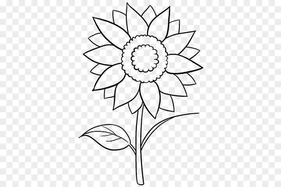 Diseño Floral，M02csf PNG