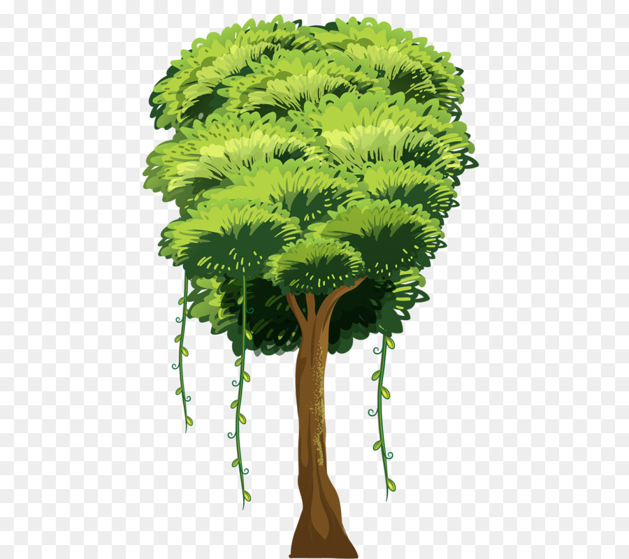 Árbol，Una Fotografía De Stock PNG