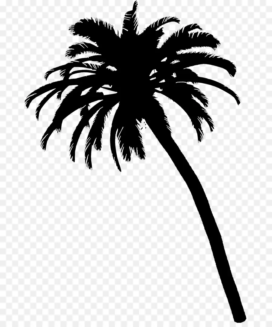 Palmera，Silueta PNG