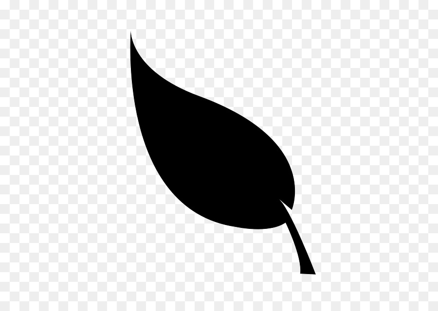 Hoja，Naturaleza PNG