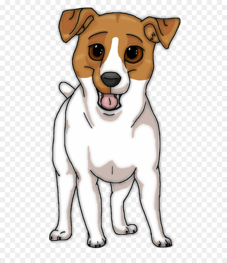 Cachorro，Rat Terrier PNG