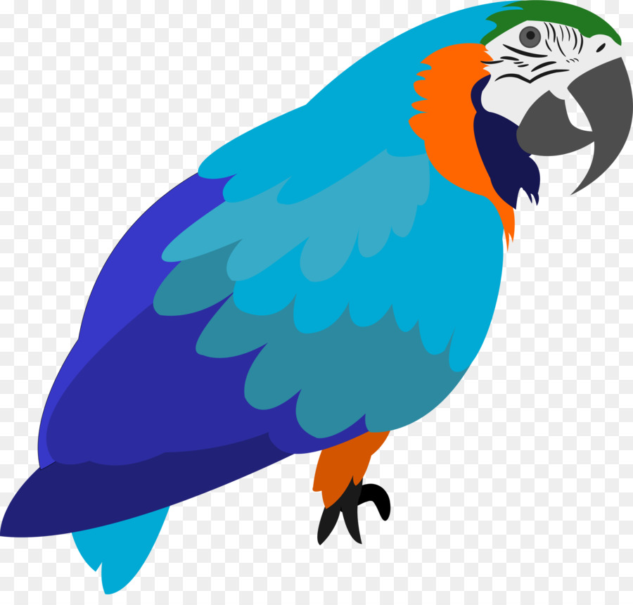 Guacamayo，Loro PNG