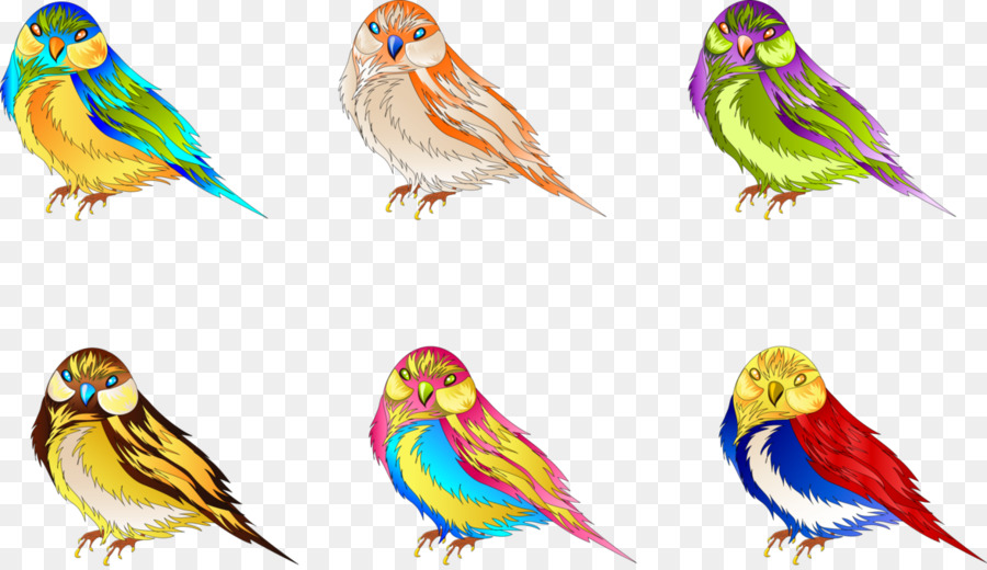 Budgericar，Aves PNG