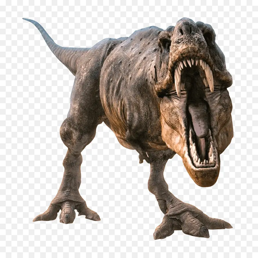 Tyrannosaurus，Allosaurus PNG