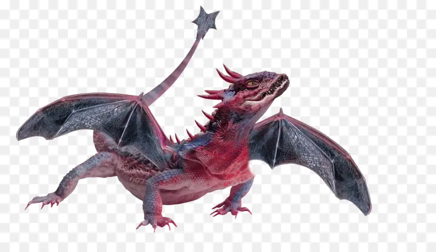 Dragón Chino，Fondo De Escritorio PNG