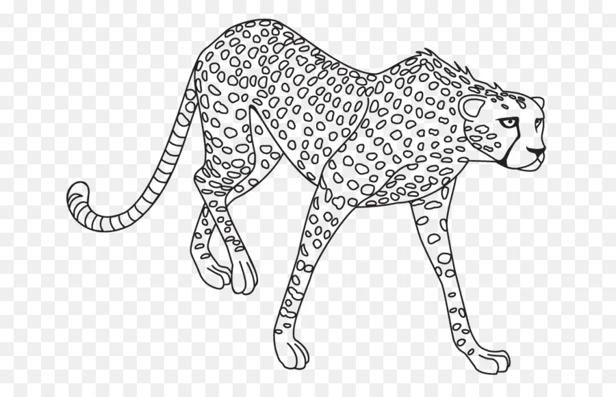 Jaguar，Leopardo PNG