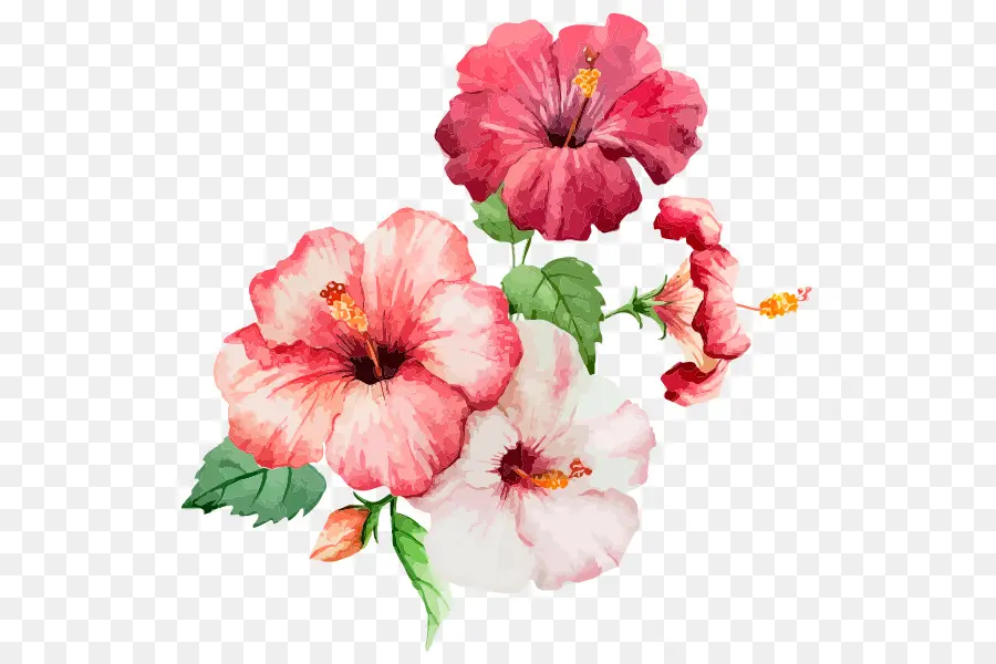 Acuarela De Flores，Pintura A La Acuarela PNG