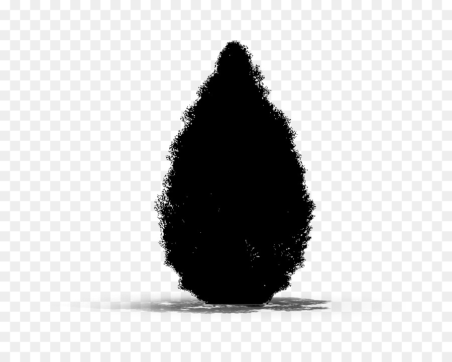 Negro Blanco M，Árbol PNG