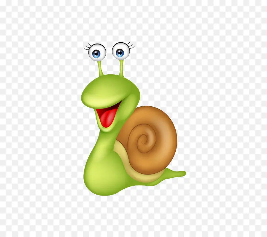 Caracol，Los Moluscos PNG