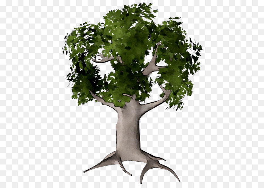 Árbol，Naturaleza PNG