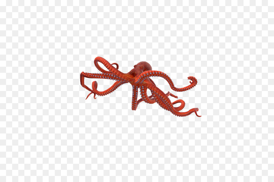 Pulpo，Diseño Gráfico PNG