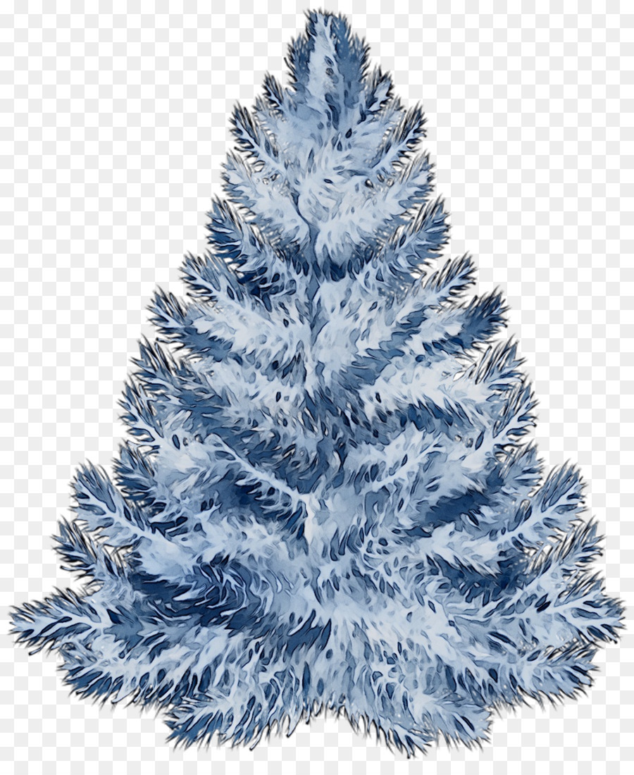 Abeto，árbol De Navidad PNG