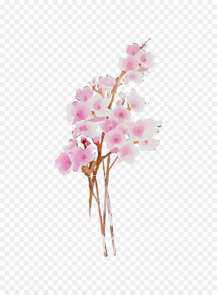 La Polilla De Las Orquídeas，Flor PNG