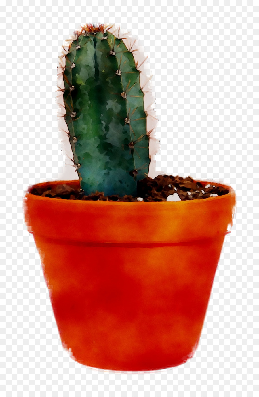 Cactus，Suculento PNG