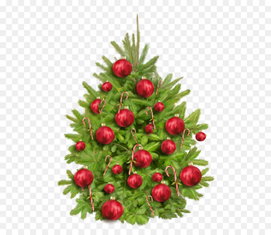 árbol De Navidad，Christmas Day PNG