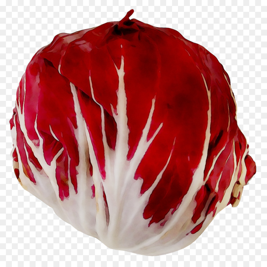 Vegetal，Rojo PNG