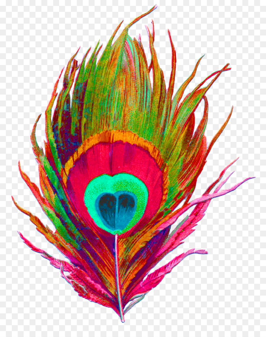 Pluma De Pavo Real，Vistoso PNG