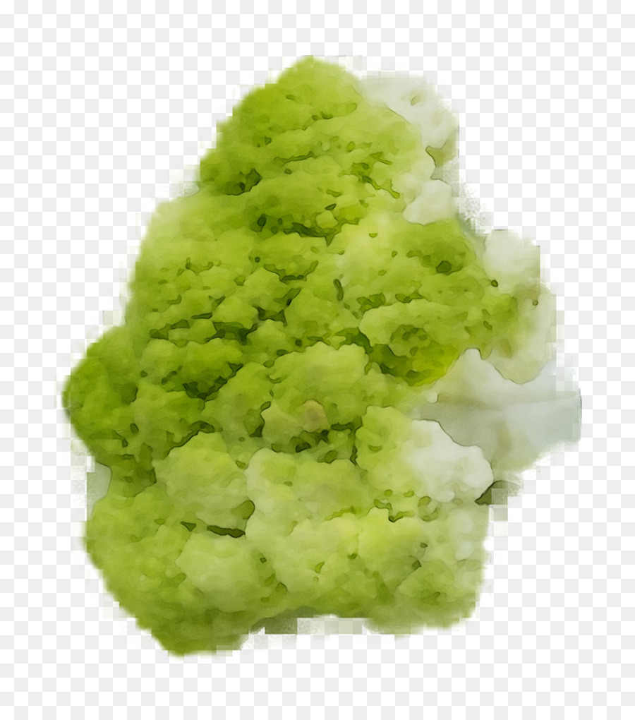 Brócoli，Verde PNG