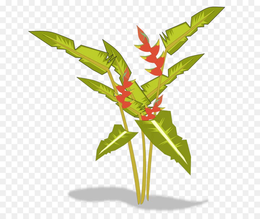 Planta，Hojas PNG