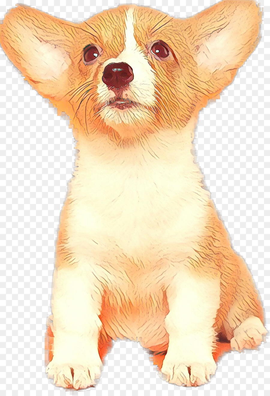 Cachorro Chihuahua，Perro PNG