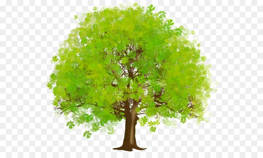 Árbol，Rama PNG