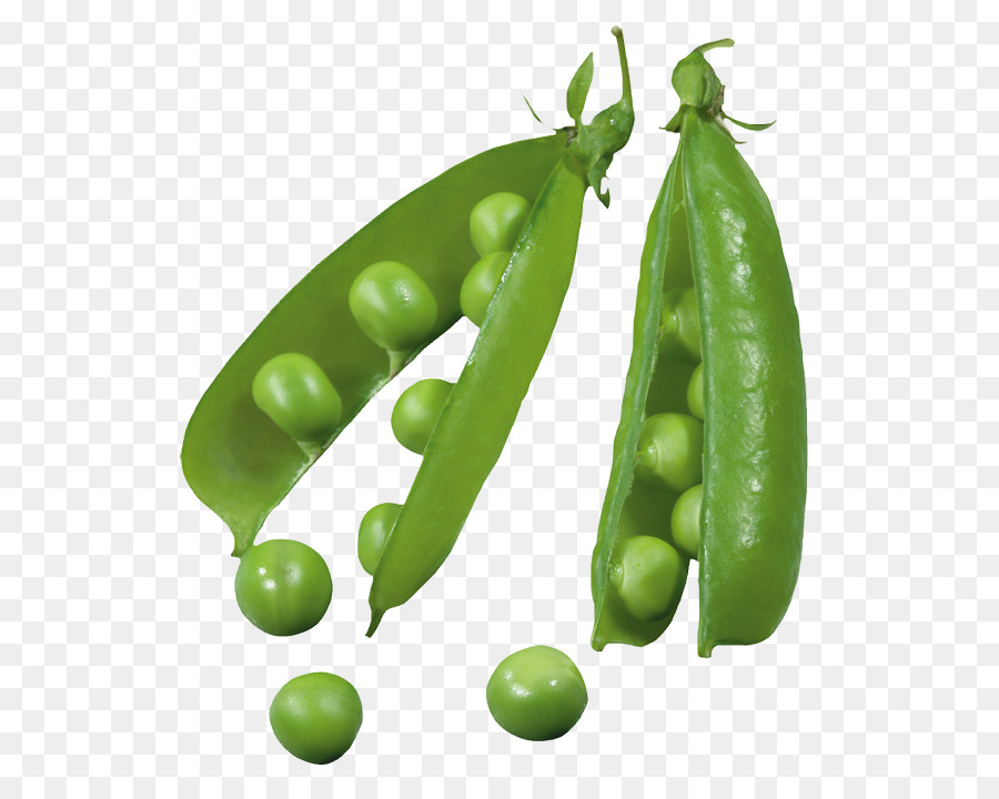 Cocina Vegetariana，Snow Pea PNG