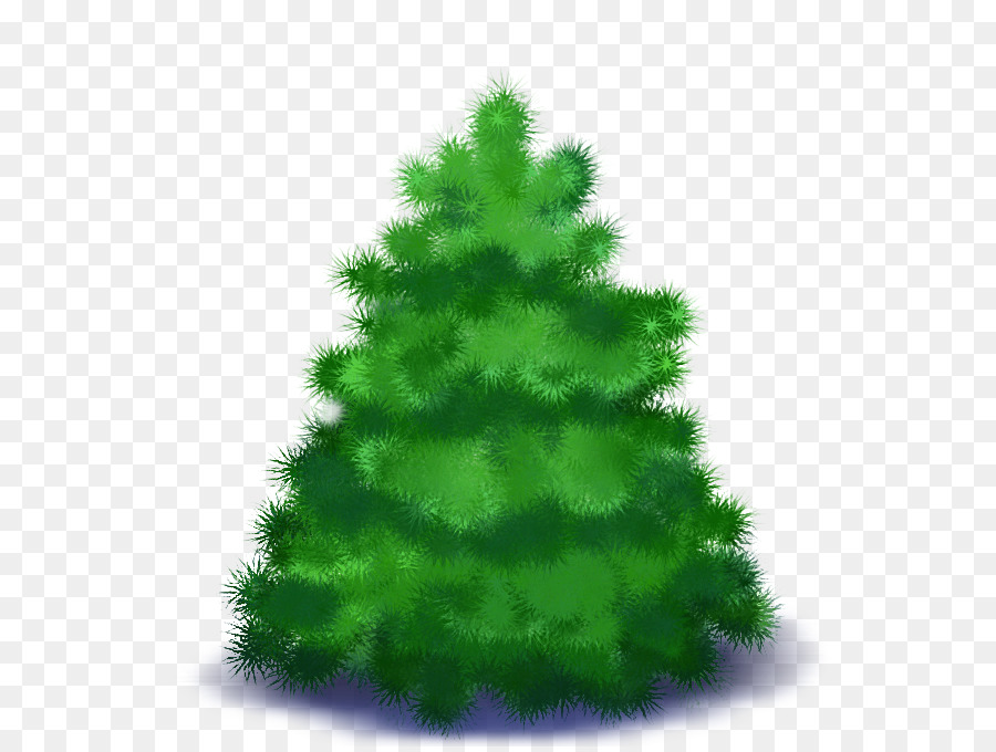 Abeto，árbol De Año Nuevo PNG