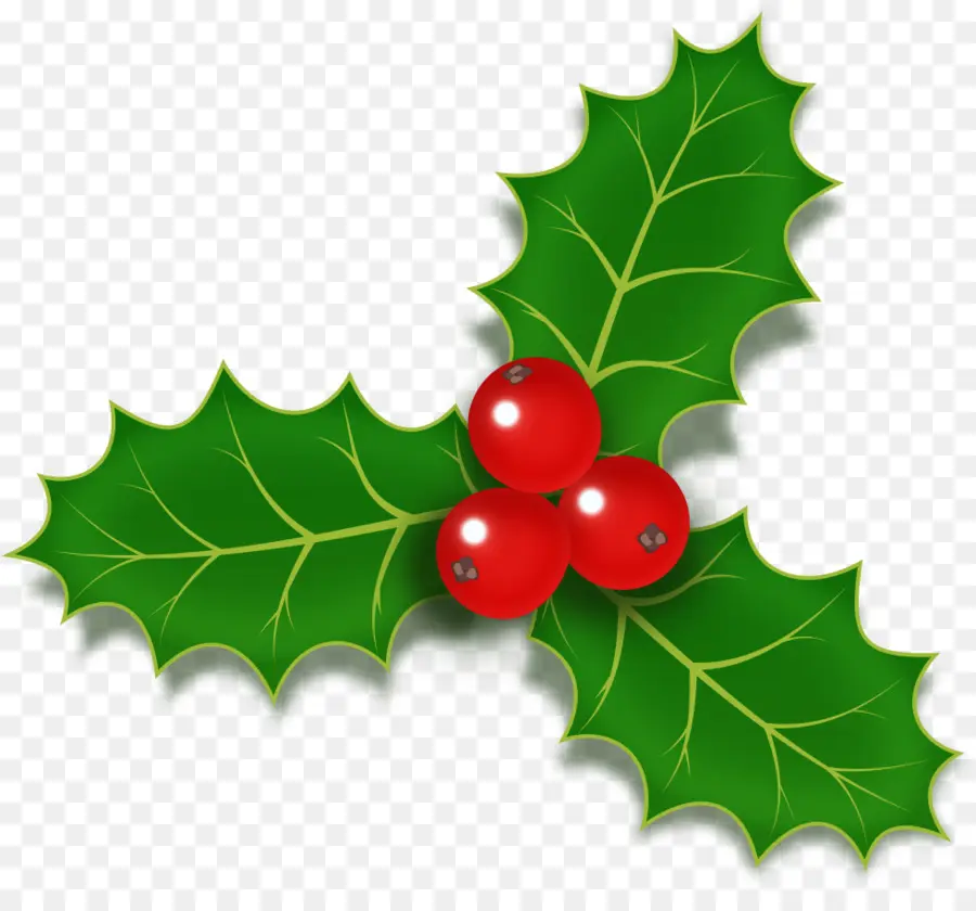 Diseños De Navidad，Común Holly PNG