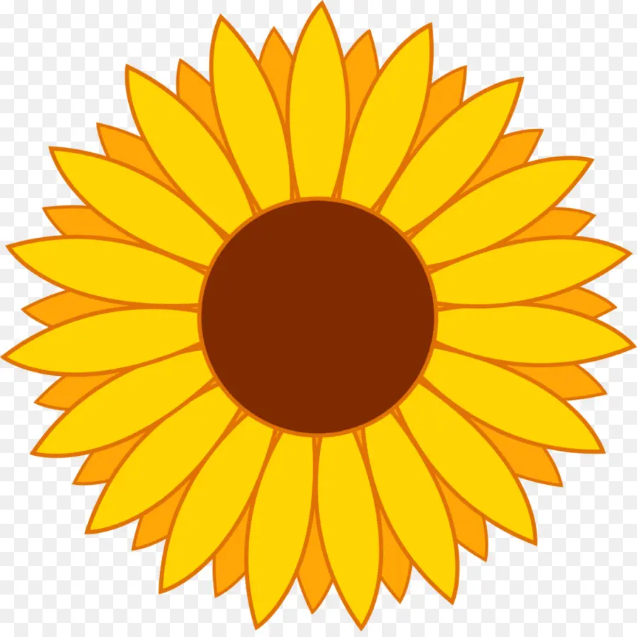 Girasol，Amarillo PNG