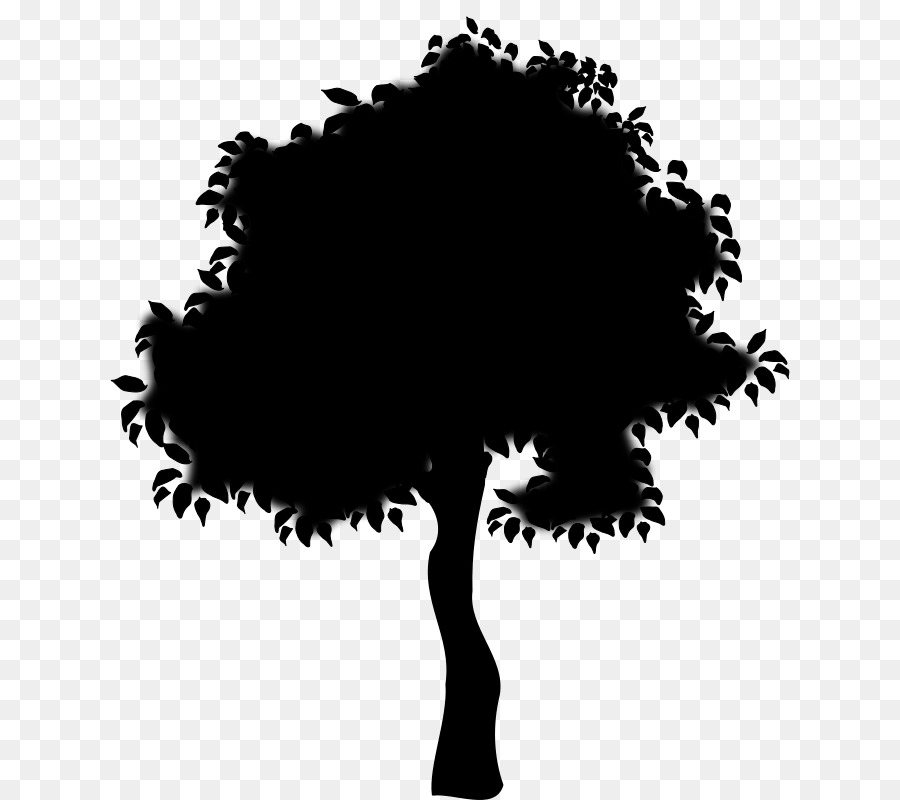 Silueta De Arbol，Planta PNG