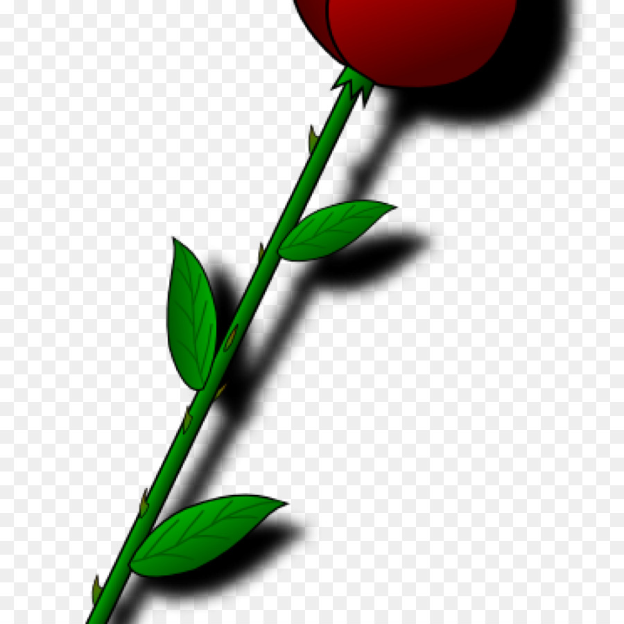 Rosa Roja，Brote PNG