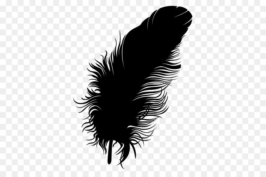 Pluma，Negro M PNG