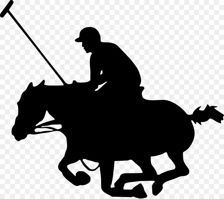 Jugador De Polo，Caballo PNG