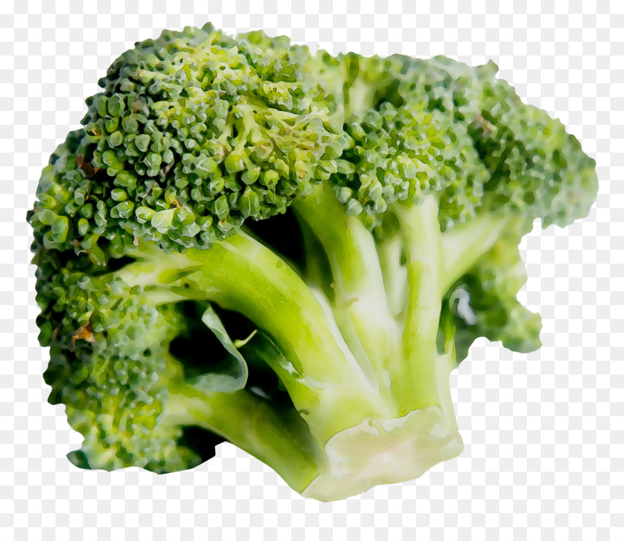 Brócoli，Brotes De Brócoli PNG