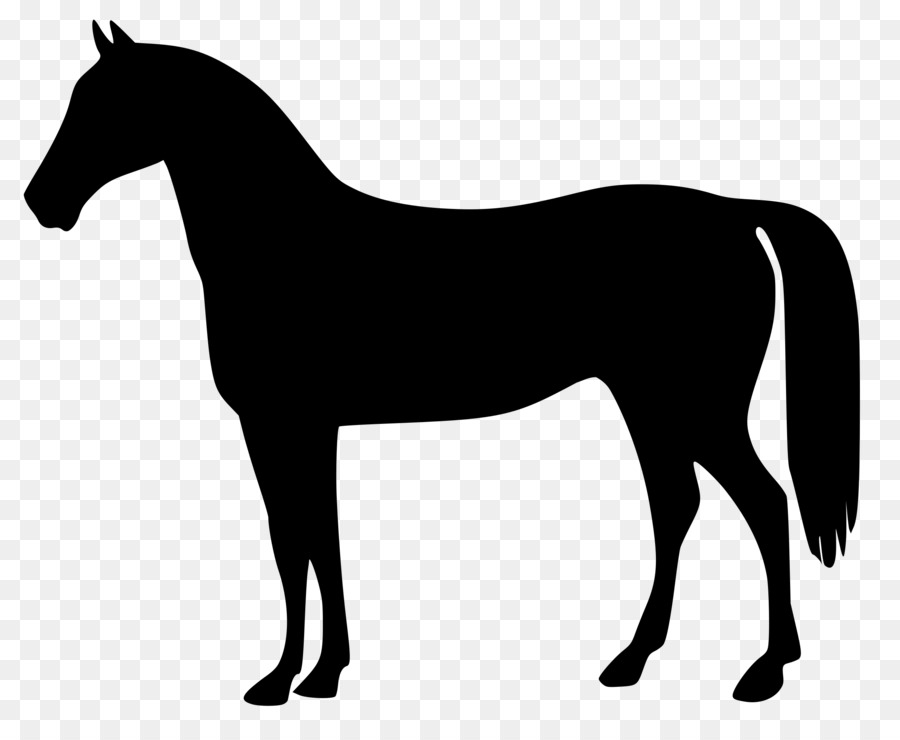 Caballo，Equino PNG