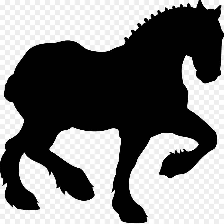 Caballo，Equino PNG