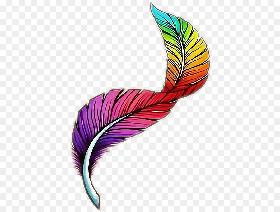 Plumas de colores, png